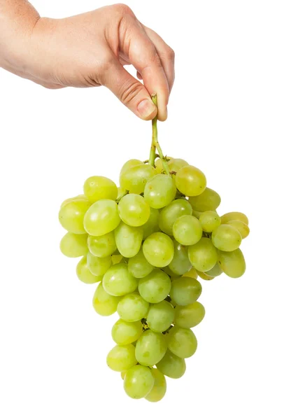 Mano sosteniendo un racimo de uvas — Foto de Stock