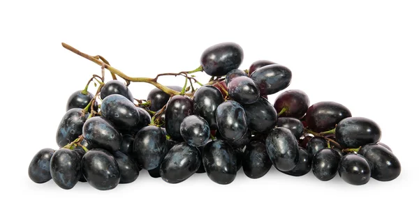 Ramo de uvas negras maduras — Foto de Stock