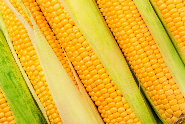 Stacked near peeled corn cobs diagonally — Stock Photo, Image