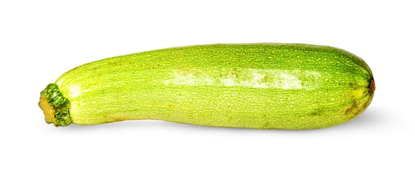Einzelne frische Zucchini — Stockfoto