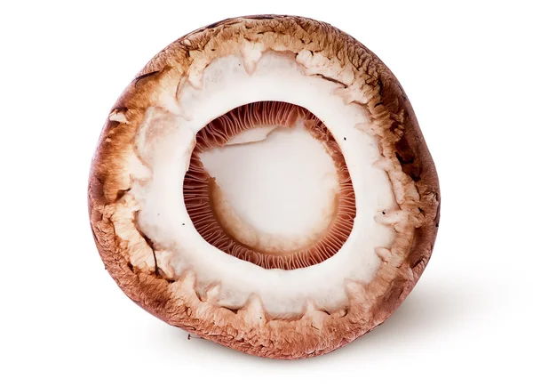 Cap on a brown champignon — Stock Photo, Image