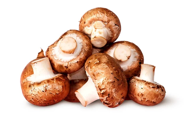Pile of fresh brown champignon — Stock Photo, Image