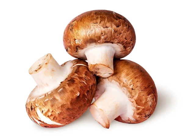 Three whole fresh brown champignons — Stock Photo, Image