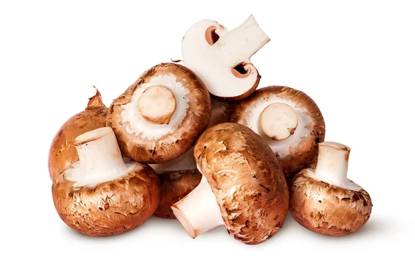 Big pile of fresh brown champignon — Stock Photo, Image