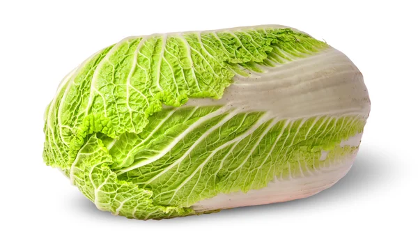 Chinese cabbage horizontally — Stock Photo, Image