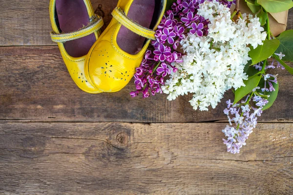 Lentebloemen over houten achtergrond — Stockfoto