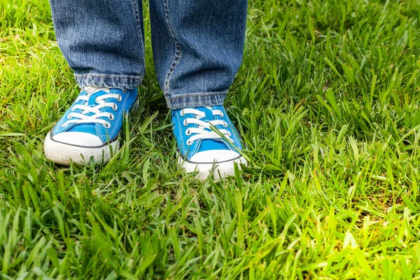 Ben i vår park — Stockfoto