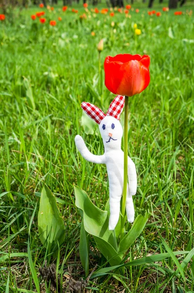 White easter rabbit — Stock Photo, Image