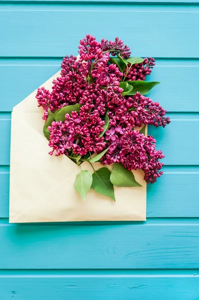 Jarní květy modré dřevěné pozadí — Stock fotografie