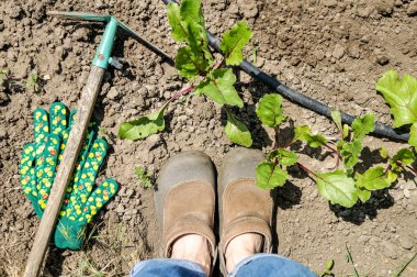 Bir kadın çiftçi metrelik