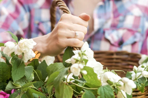 Close up van de handen van de vrouw met een ring — Stockfoto