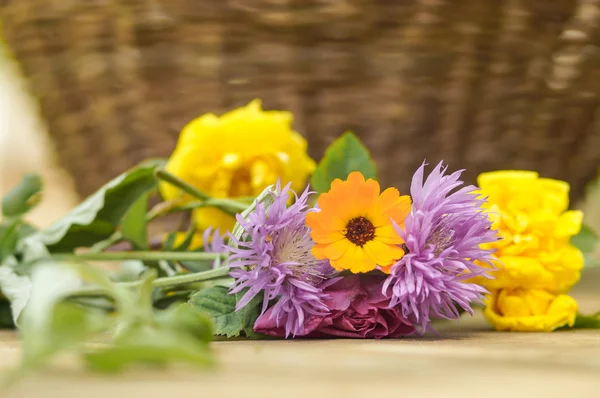 Hintergrund mit bunten Frühlings- oder Sommerblumen — Stockfoto