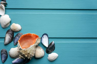 Deniz kabuklarını grunge mavi arka plan üzerinde