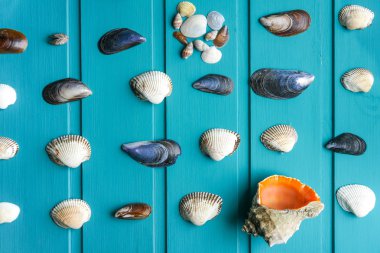 Deniz mavi arka plan üzerinde