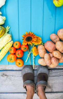 çiftlik taze sebze ve meyveler