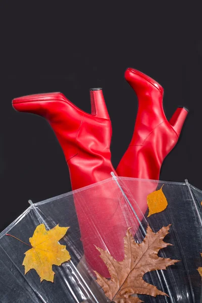 Herfst benen in rode hoge laarzen — Stockfoto