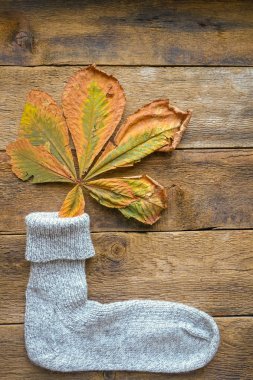 sonbahar geçmişi, komik sonbahar geçmişi