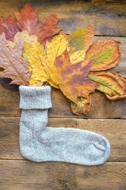 sonbahar geçmişi, komik sonbahar geçmişi