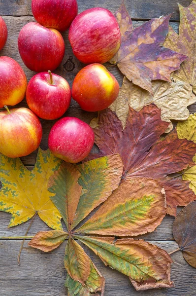 Herbst Hintergrund und rote Äpfel — Stockfoto