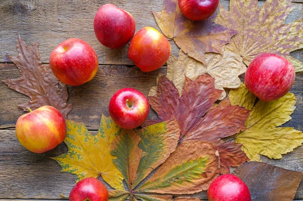 Autumn background and red apples — Stock Photo, Image