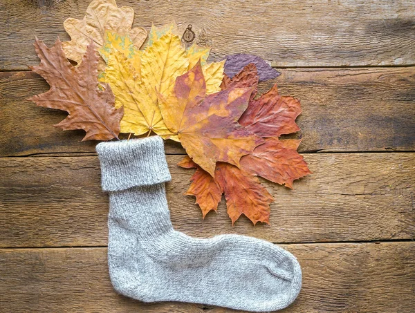 Autumn background, funny autumn background — Stock Photo, Image