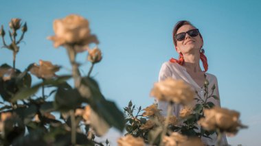 Mutlu genç bir kadın mavi gökyüzünde, yaz güllerinde yürüyor.