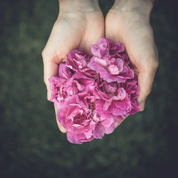 Blommor i handen. tonas mörk bild — Stockfoto