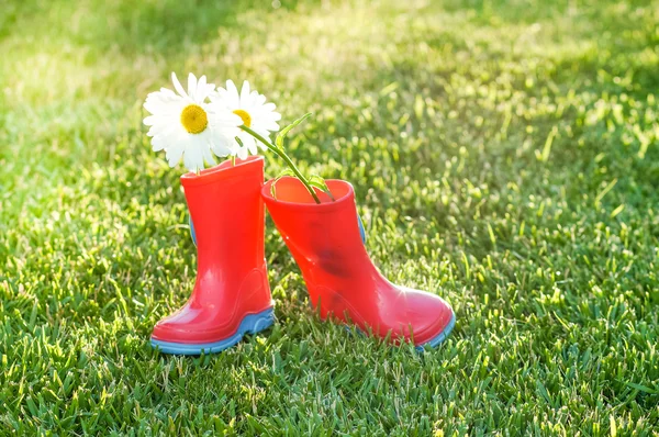 Flores em botas — Fotografia de Stock