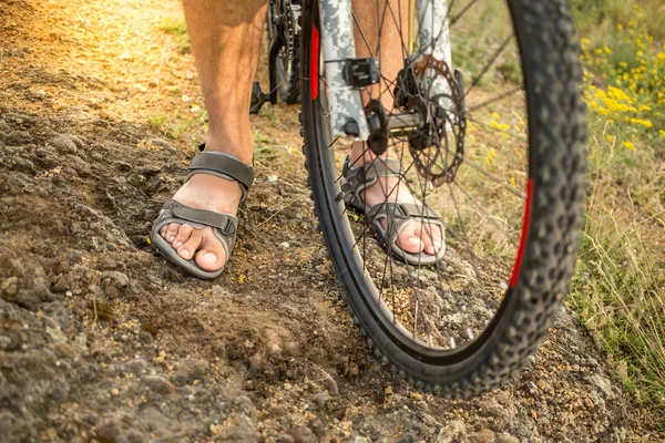 Ciclista — Foto Stock