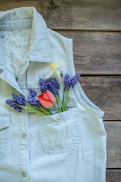 Frühlingsblumen — Stockfoto