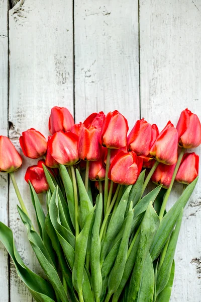 Tulpen für die Mutter — Stockfoto