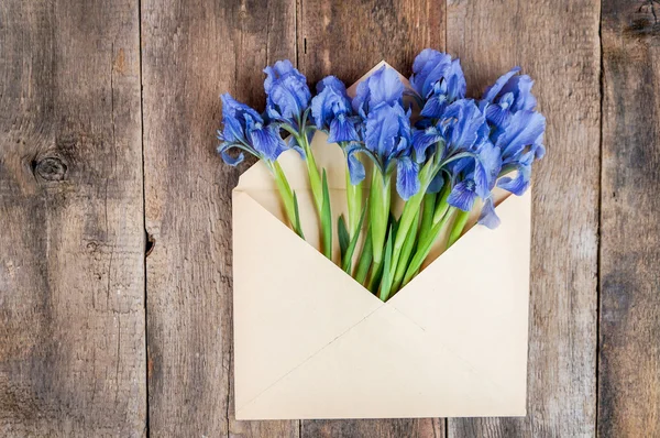 Frühlingsblumen — Stockfoto