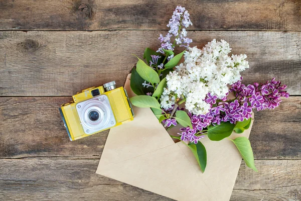 Frühlingsblumen — Stockfoto