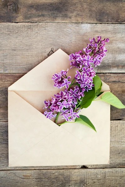 Flores de primavera — Foto de Stock