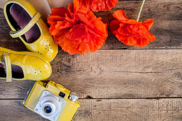 Spring flowers — Stock Photo, Image