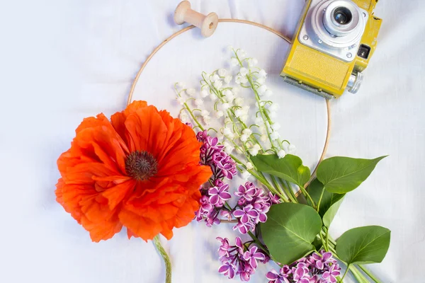 Voorjaarsbloemen — Stockfoto