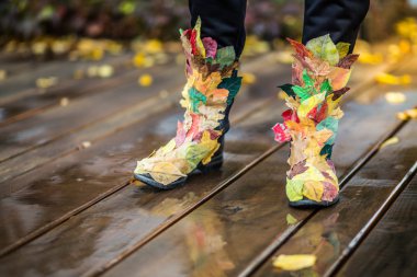 Autumn fashion legs clipart