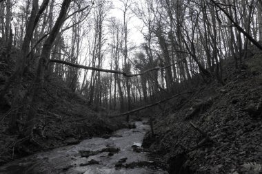 Dik kıyıları olan dar bir nehir çukuru. Nehir boşluğu, bulanık görüntü