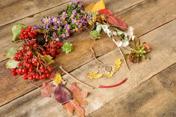 Lustiges Gesicht aus Herbstblättern — Stockfoto