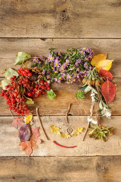 Lustiges Gesicht aus Herbstblättern — Stockfoto