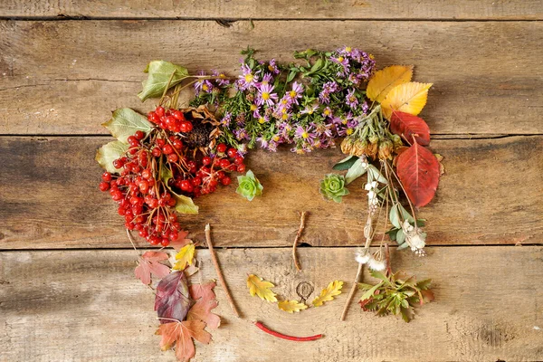 Cara divertida compuesta de hojas de otoño —  Fotos de Stock