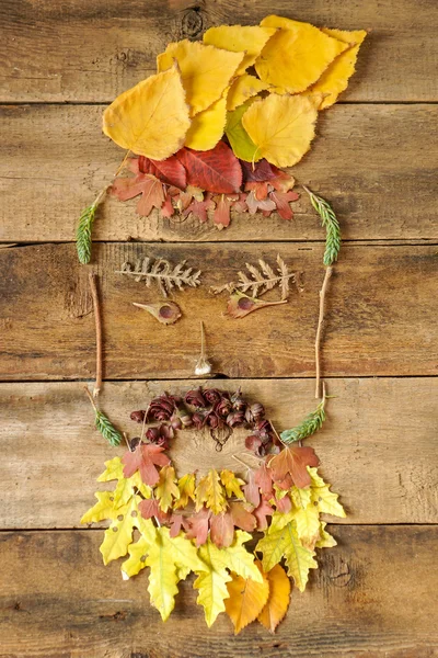 Cara divertida compuesta de hojas de otoño — Foto de Stock