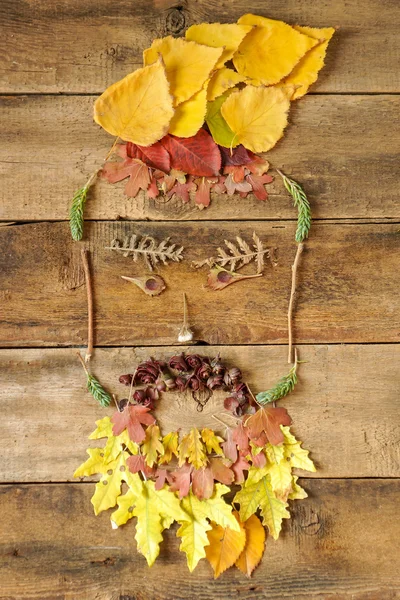Cara divertida compuesta de hojas de otoño Fotos de stock