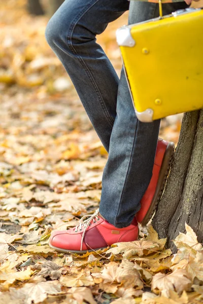 Autunno viaggio donna — Foto Stock