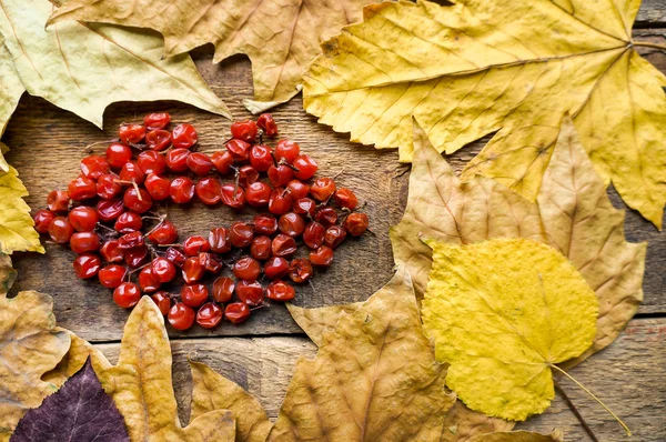 Concepto de labios de otoño —  Fotos de Stock