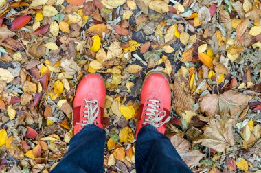 Kadın sonbahar bacaklar, yukarıdan görünüm