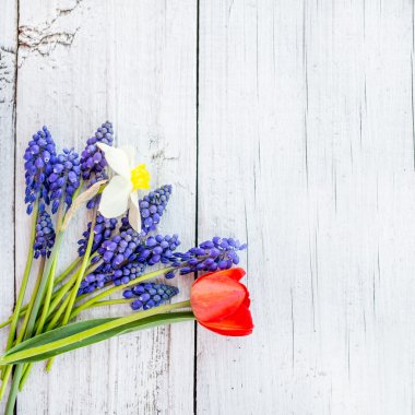 Bahar çiçekleri Beyaz ahşap zemin üzerinde