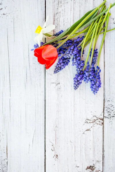 Vårblommor över vit trä bakgrund — Stockfoto