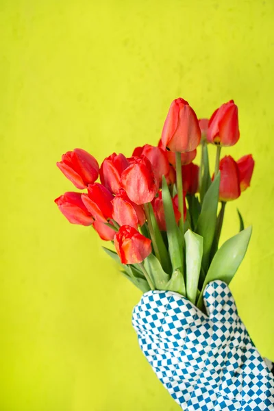 Frühlingsblumen über leuchtend gelbem Untergrund — Stockfoto