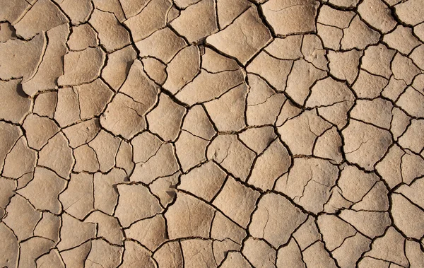 Száraz, repedt föld - sivatag — Stock Fotó